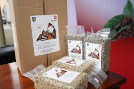 Pemkab Kediri sebut keberadaan bandara bisa tambah peluang ekspor