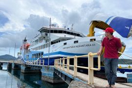 Masyarakat pulau terpencil merasakan layanan pemerintah melalui KMP Bahtera Nusantara 03