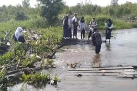 Jembatan titian kayu di Kapuas rusak akibat diterjang air pasang