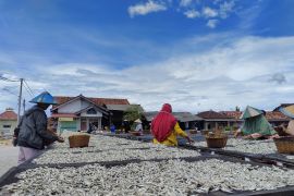 Perajin teri asin di Pulau Pasaran harap ada bantuan cold storage dari pemerintah