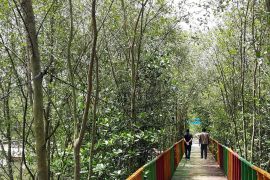 Mudik sekalian menikmati sensasi pantai di lintas timur Lampung