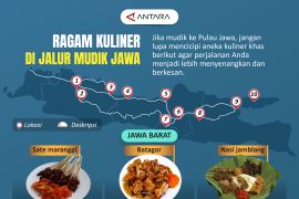 Ragam kuliner di jalur mudik Jawa