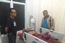 Penggembala kambing di Kampar tewas tertimpa pohon sawit