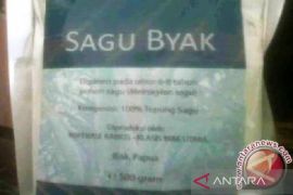 Pemkab Biak dorong peningkatan produksi sagu koperasi Kairos GKI Klasis Biak Utara
