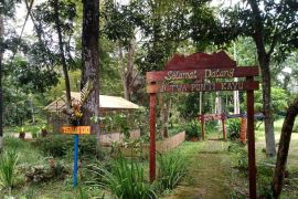 TWA Punti Kayu Palembang siap sambut pengunjung saat Lebaran 2023