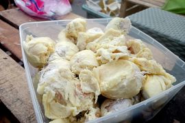Durian jadi oleh-oleh favorit pemudik dari Ambon