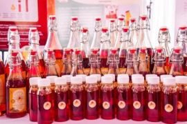 Tiga koperasi di Sumut dipercaya kelola pabrik minyak makan merah