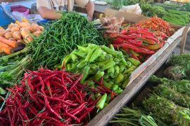 Harga sayur di Pontianak masih stabil jelang Lebaran