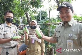 Kelurahan Grogol Selatan rutinkan penataan TPS ilegal jadi taman