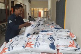 Penyaluran Beras cadangan Pemerintah di Maluku mencapai 90 persen