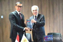 PLN gandeng IEA jalankan roadmap transisi energi