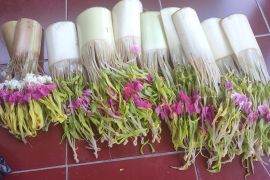 Harga "kambang" di hulu sungai Kalsel naik 100 persen dekati lebaran 1444 H