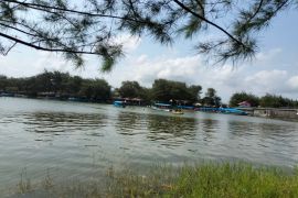 Ribuan wisatawan memadati objek wisata Pantai Glagah Kulon Progo