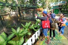 Libur lebaran, tingkat kunjungan KBS meningkat 300 persen