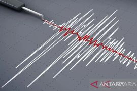 Warga rasakan getaran gempa Mentawai-Siberut saat hari masih gelap