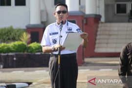 Bupati Belitung Timur tegaskan tidak ada pemberhentian tenaga honorer