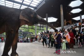 Taman Safari Indonesia dikunjungi 37 ribu wisatawan