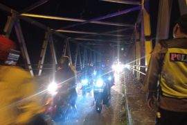 Mengenal laron: Serangga yang muncul di musim hujan