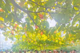 DKP - Balai Budidaya Ambon salurkan bantuan keramba jaring  apung