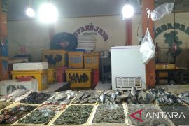 Libur Lebaran, permintaan ikan laut melonjak 30 persen