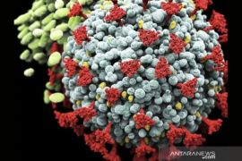 Dinkes Jawa Barat optimalkan posko mudik cegah penularan kasus COVID-19