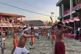 80 pemuda Negeri Mamala  jadi peserta atraksi pukul sapu lidi