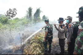 Danrem Wira Bima turun berjibaku padamkan karhutla di Rupat