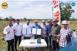 ULM dan PT Inggan Karya Nusantara kembangkan pertanian dan perkebunan