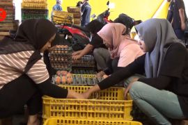 Hadapi lebaran, persediaan bahan pangan di DIY dipastikan aman