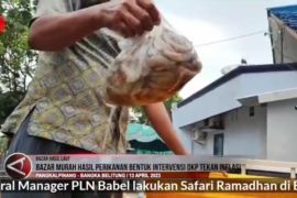 DKP Babel gelar bazar hasil perikanan ikan segar