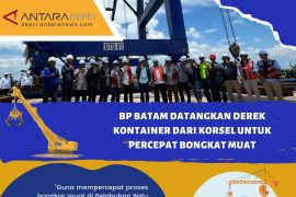 BP Batam hadirkan derek kontainer dari Korsel di Pelabuhan Batuampar
