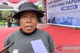 Disnakertrans Papua Barat imbau perusahaan susun struktur skala upah