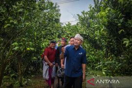Menanam harapan untuk perempuan dan petani muda di lereng Kintamani