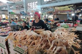 Dipicu kenaikan harga daging ayam, inflasi April di Jember 0,21 persen
