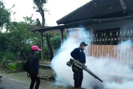 Dinkes Tulungagung gelar pengasapan tangani kasus chikungunya