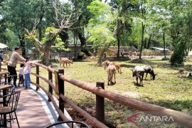 Tiga destinasi baru dongkrak kunjungan wisatawan ke Solo