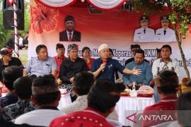 Teten: Kopi dan jeruk Kintamani perlu dikelola koperasi