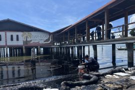 Limbah minyak hitam seperti oli cemari Pantai Kampung Melayu Batam, Nelayan kesulitan cari ikan