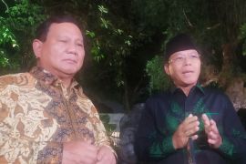 PPP: Pertemuan Jokowi dan ketum parpol tidak bahas reshuffle