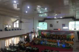 Pj Bupati Aceh Besar bertekad jadikan Jantho penghasil rambutan