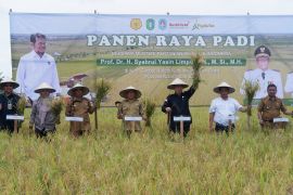 Kenaikan HET beras tingkatkan NTP pangan di Kalimantan Barat