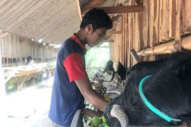 Usaha produktif warga binaan Rutan Negara diminati konsumen