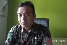 Kasus DBD di Batanghari meningkat dibandingkan tahun lalu