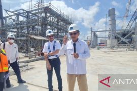 Menteri ESDM minta konstruksi Smelter Freeport dipercepat