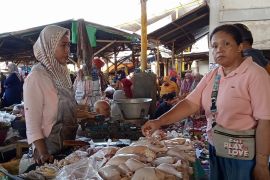 Harga ayam broiler di Mataram antara Rp45 ribu sampai Rp48 ribu per kilogram