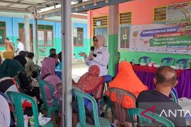 BPOM cegah penggunaan Rodhamin B pada Terasi Bangka