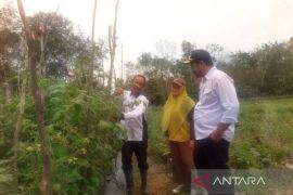 Tabalong bangun tiga embung untuk ketersediaan air di lahan pertanian