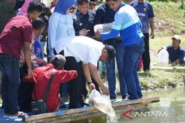 Gubernur  Maluku tebar 1.500 benih ikan nila di Wailete