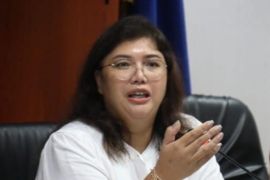 Perusahaan Singapura berminat investasi KEK Kesehatan dan Pariwisata