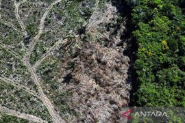 Inggris siap sumbang Rp1,4 triliun untuk Dana Amazon